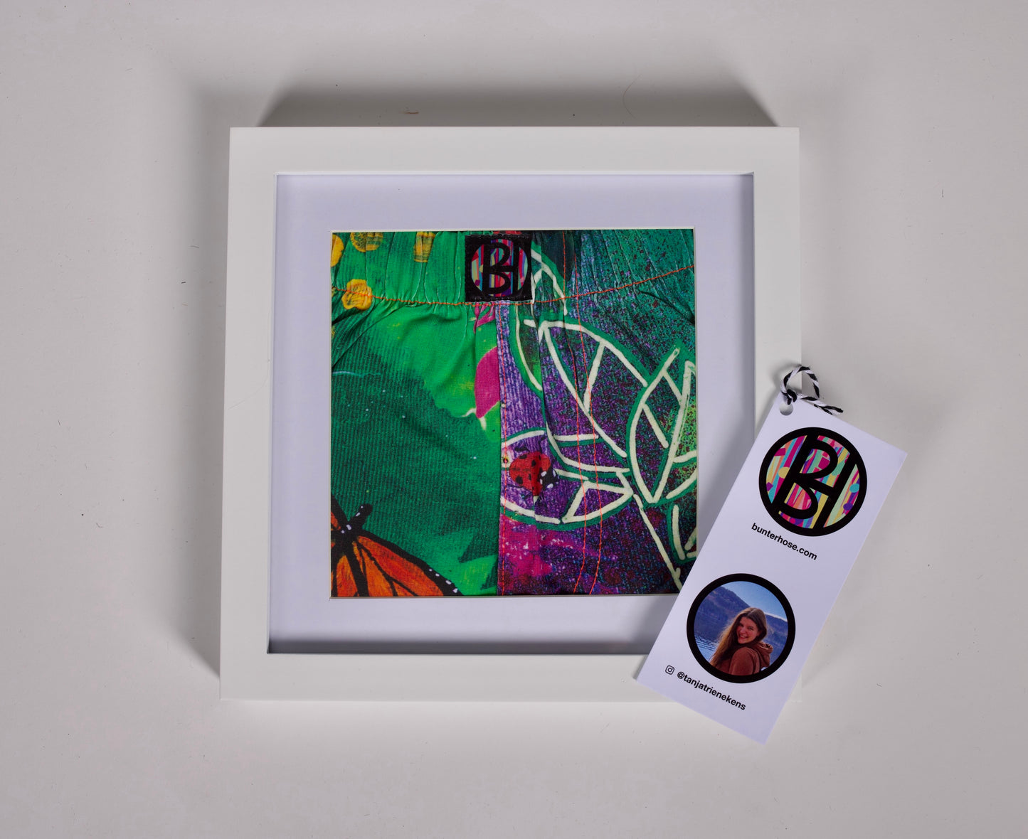 Tanja Trienekens: InsectArt